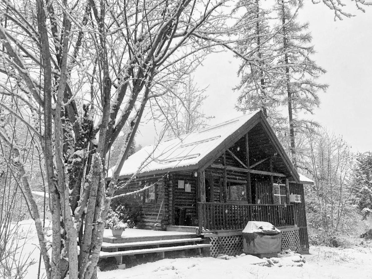 Morning Star Log Cabin نيلسون المظهر الخارجي الصورة
