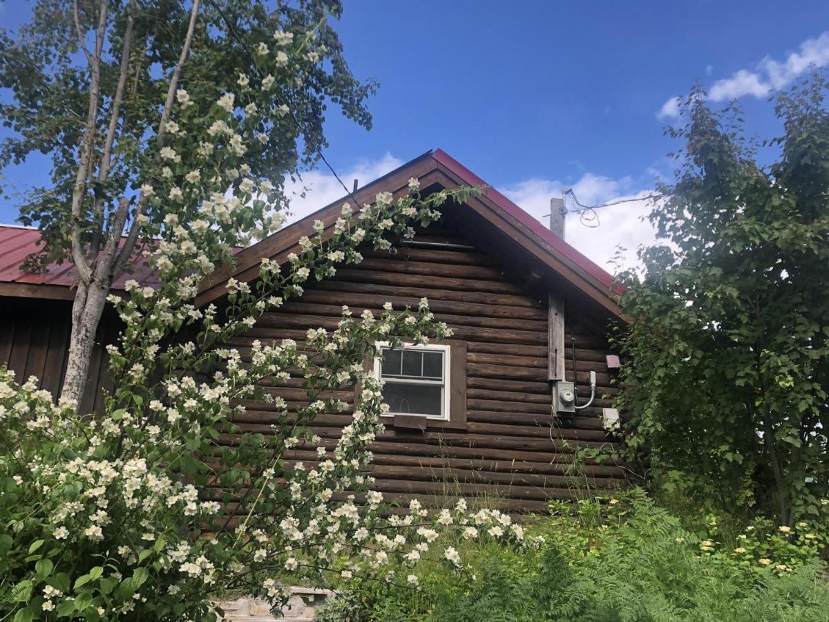 Morning Star Log Cabin نيلسون المظهر الخارجي الصورة