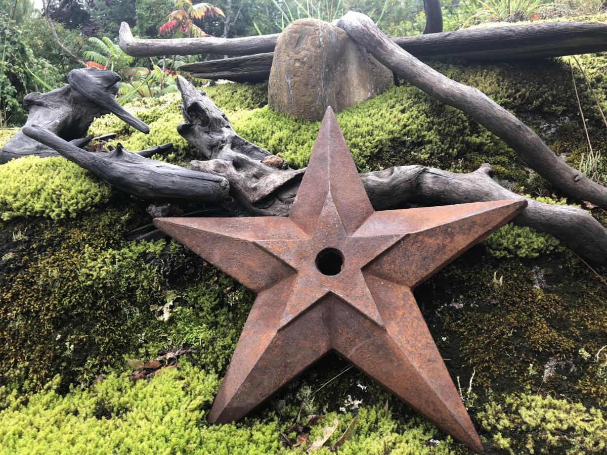 Morning Star Log Cabin نيلسون المظهر الخارجي الصورة