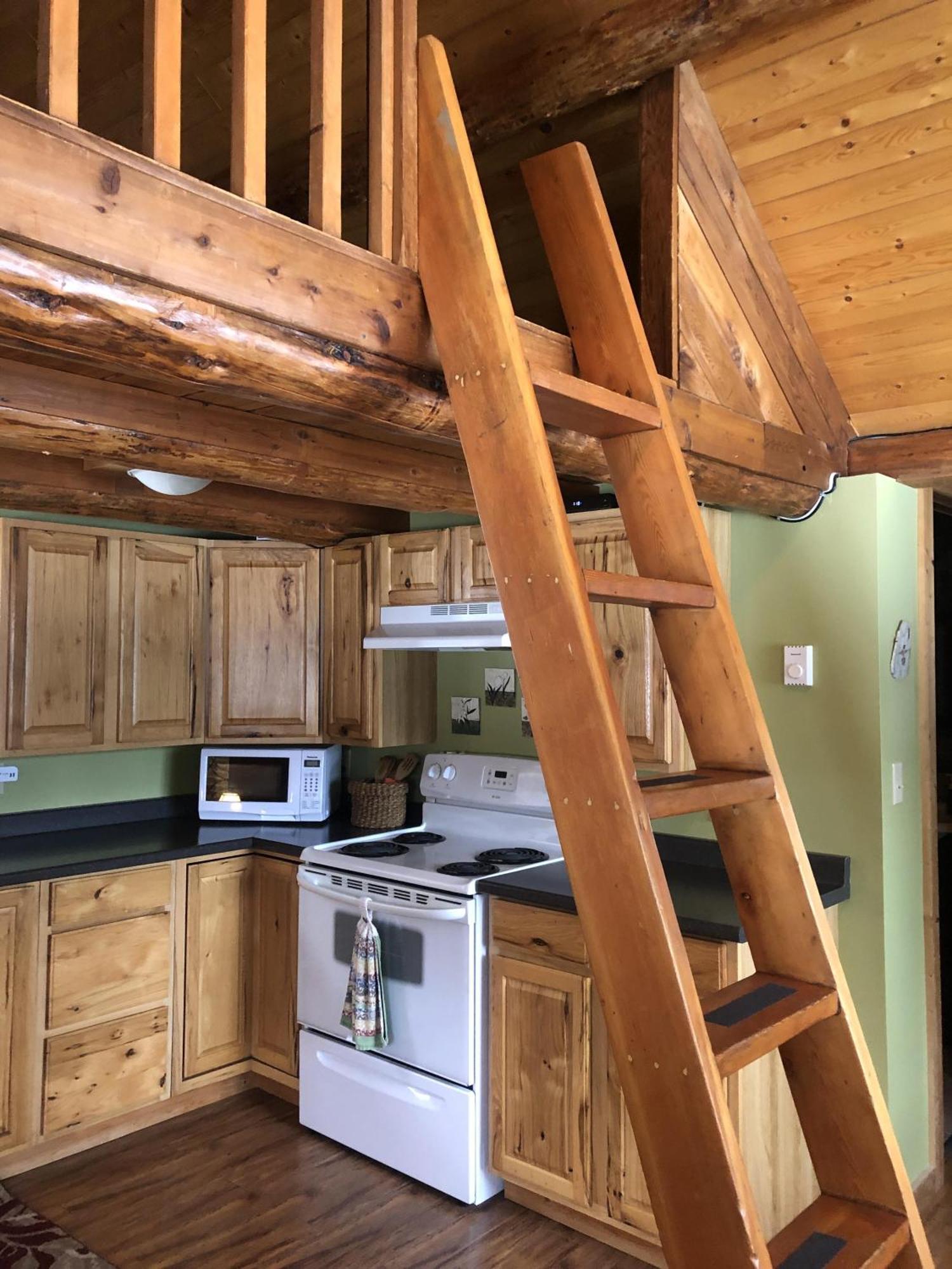 Morning Star Log Cabin نيلسون المظهر الخارجي الصورة
