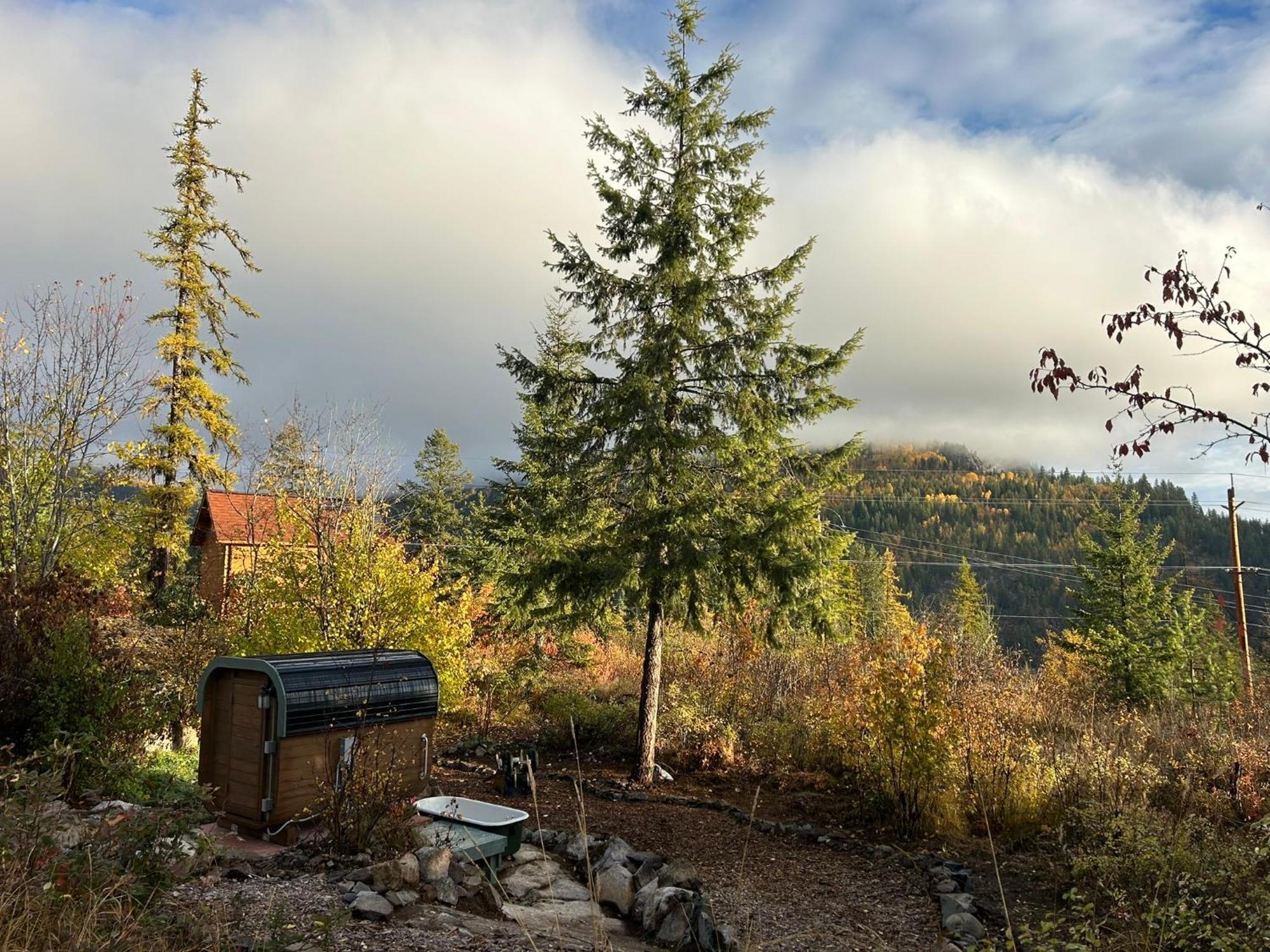 Morning Star Log Cabin نيلسون الغرفة الصورة